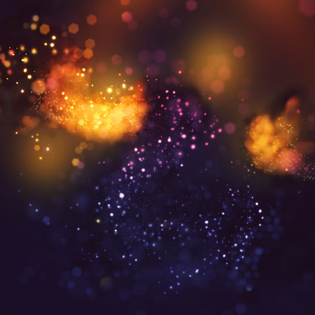 האיבר המיני החשוב ביותר